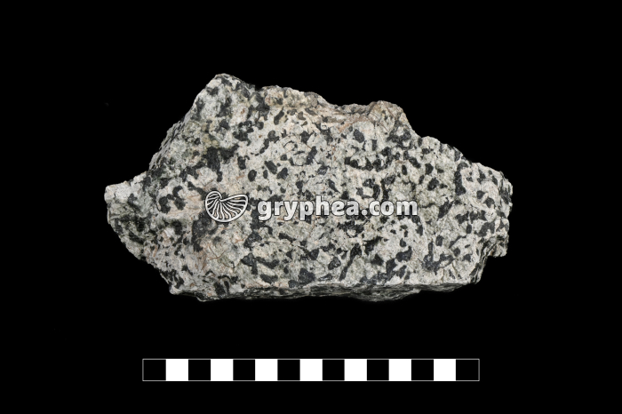 Gabbro - échantillon (Massif du Chenaillet, Alpes) - gryphea.com